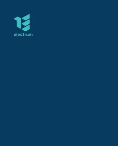Electric vehicle