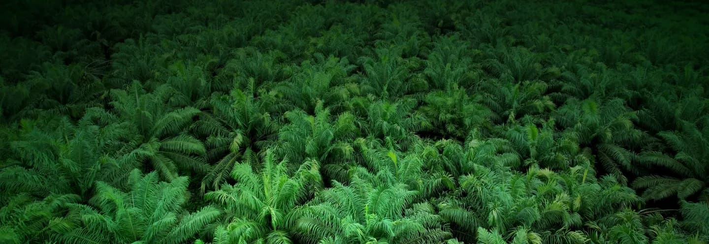 Emissions_and0AClimate_Opportunities.webp