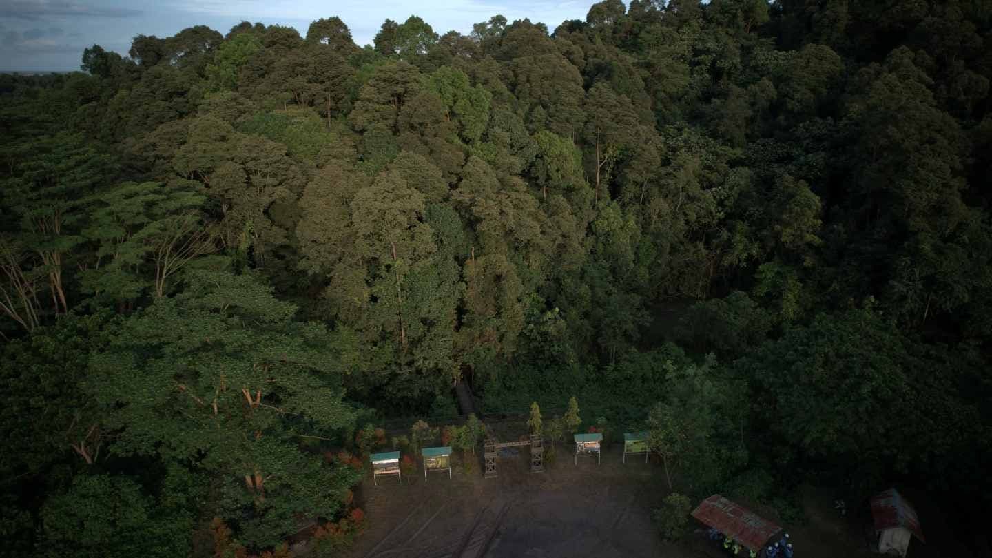 Rencana Transisi Iklim TBS