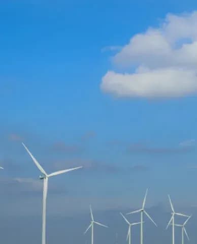 Renewable Energy TBS